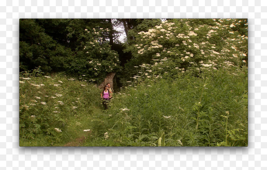 Dublin Mountains Walk, HD Png Download - person walking side view png