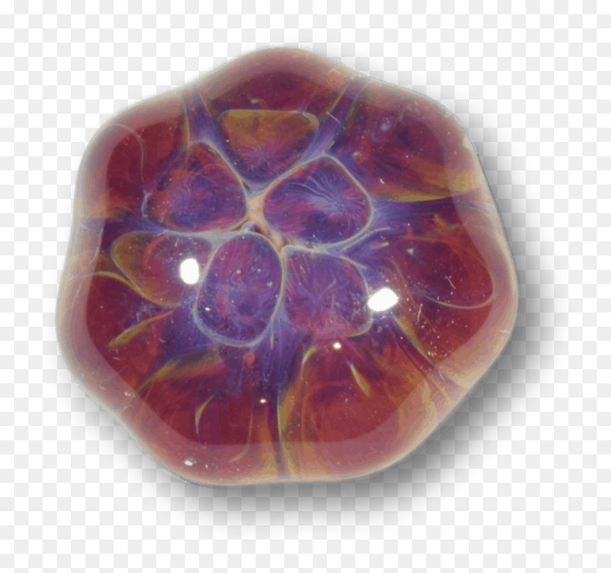 Opal, HD Png Download - turtle shell png