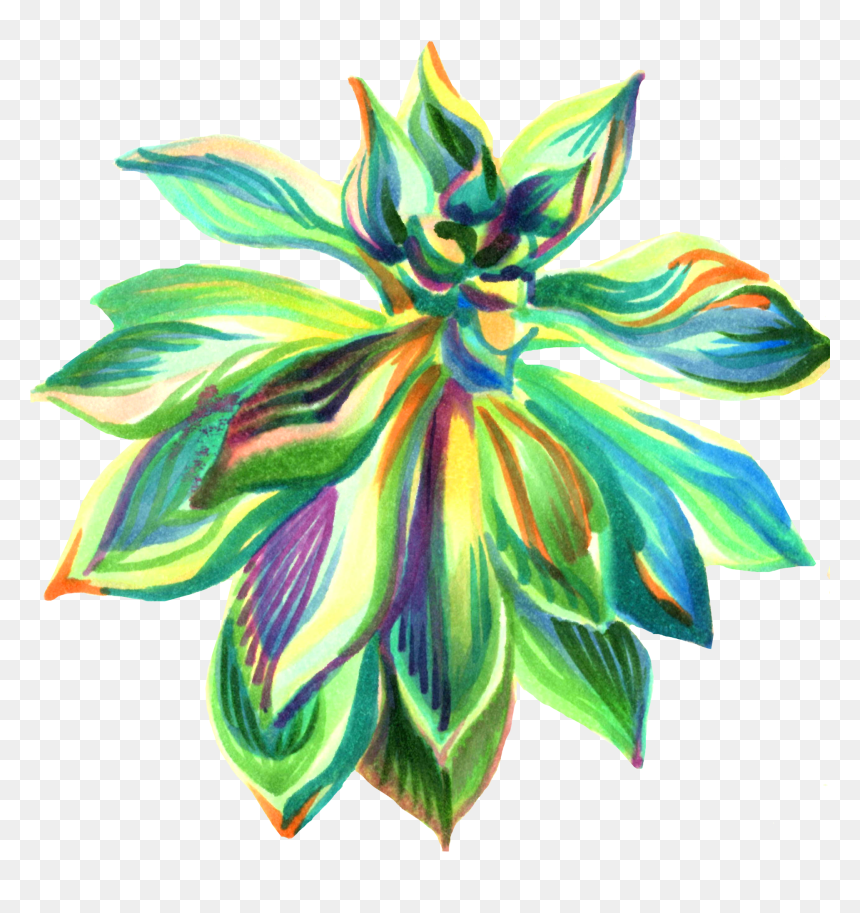 Ylang-ylang, HD Png Download - album design png