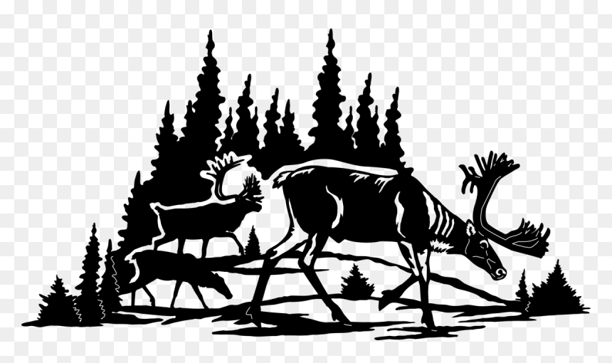 Illustration, HD Png Download - caribou png