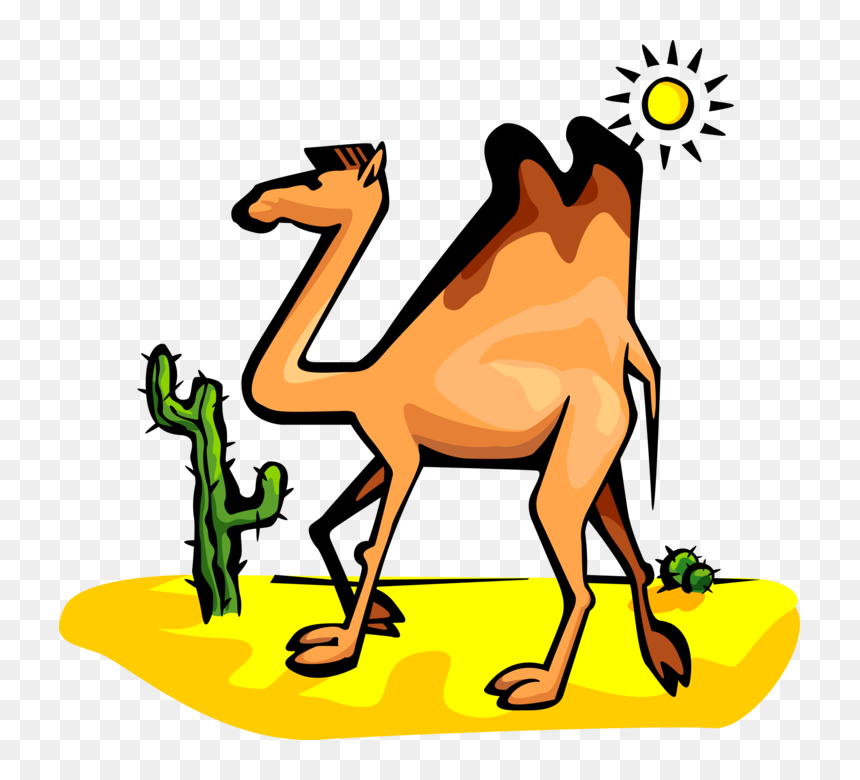 Vector Illustration Of Beast Of Burden Camel Dromedary - Camel Clipart, HD Png Download - camel vector png