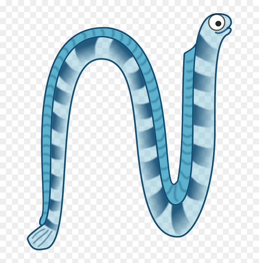 Eel Clipart - Sea Snake Clipart, HD Png Download - eel png