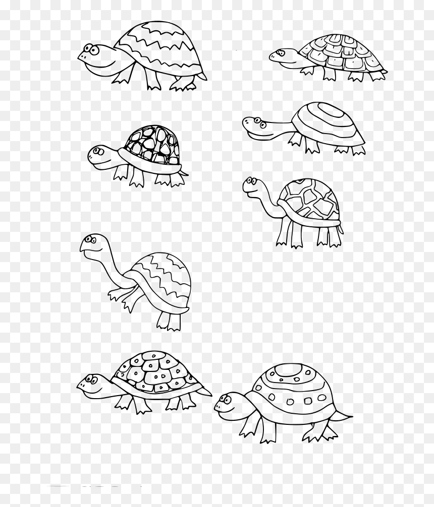 Dibujos De Tortugas Chiquitas, HD Png Download - turtle shell png