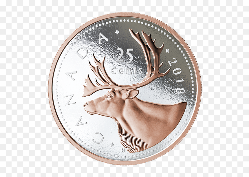 Quarter Transparent Caribou - The Beer Pub, HD Png Download - caribou png