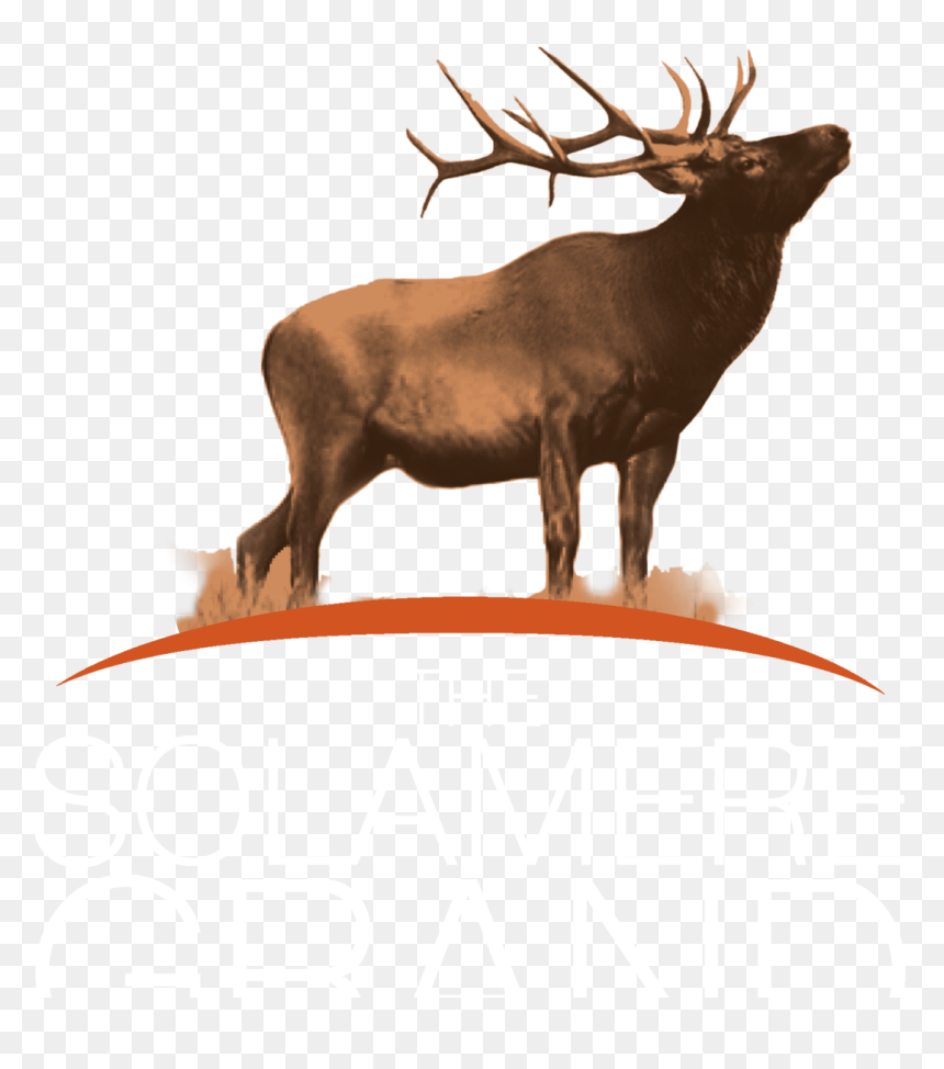 The Solamere Grand - Elk, HD Png Download - caribou png