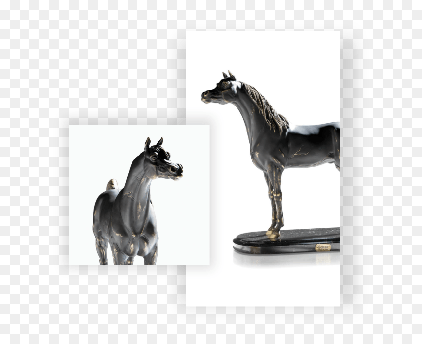 Stallion, HD Png Download - indian traditional lamps png