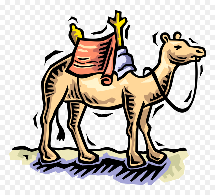 Vector Illustration Of Beast Of Burden Camel Dromedary - Camel Clip Art, HD Png Download - camel vector png