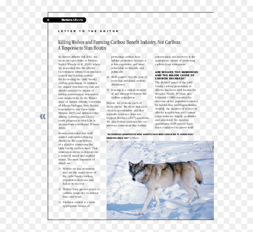 Sakhalin Husky, HD Png Download - caribou png