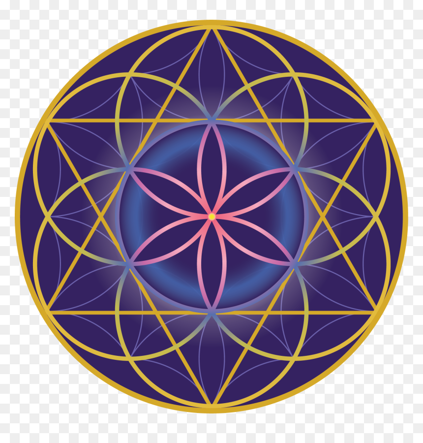 Home The Flower Of Life Ion Apothecary - Collective Flag, HD Png Download - seed of life png