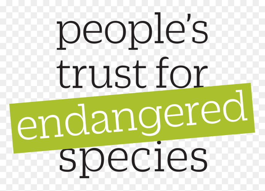 People's Trust For Endangered Species, HD Png Download - people logo png