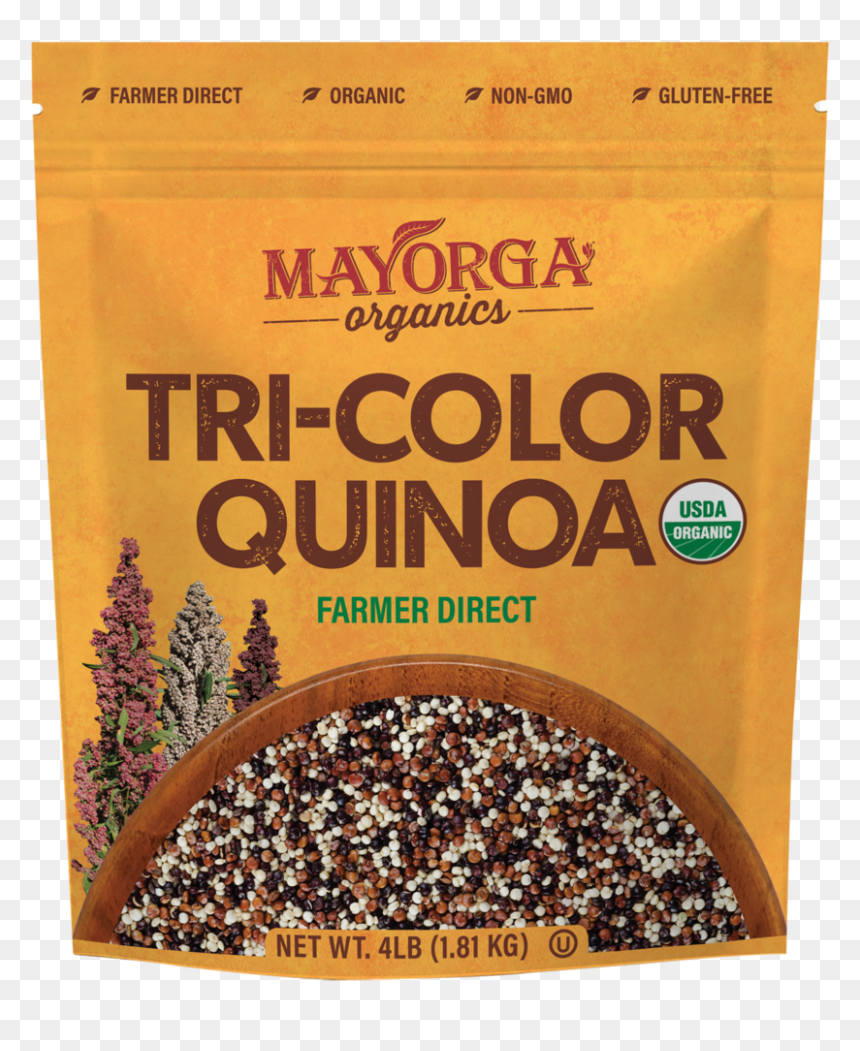 Coriander, HD Png Download - tri color png
