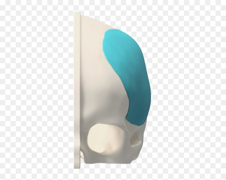 Paper, HD Png Download - borda png