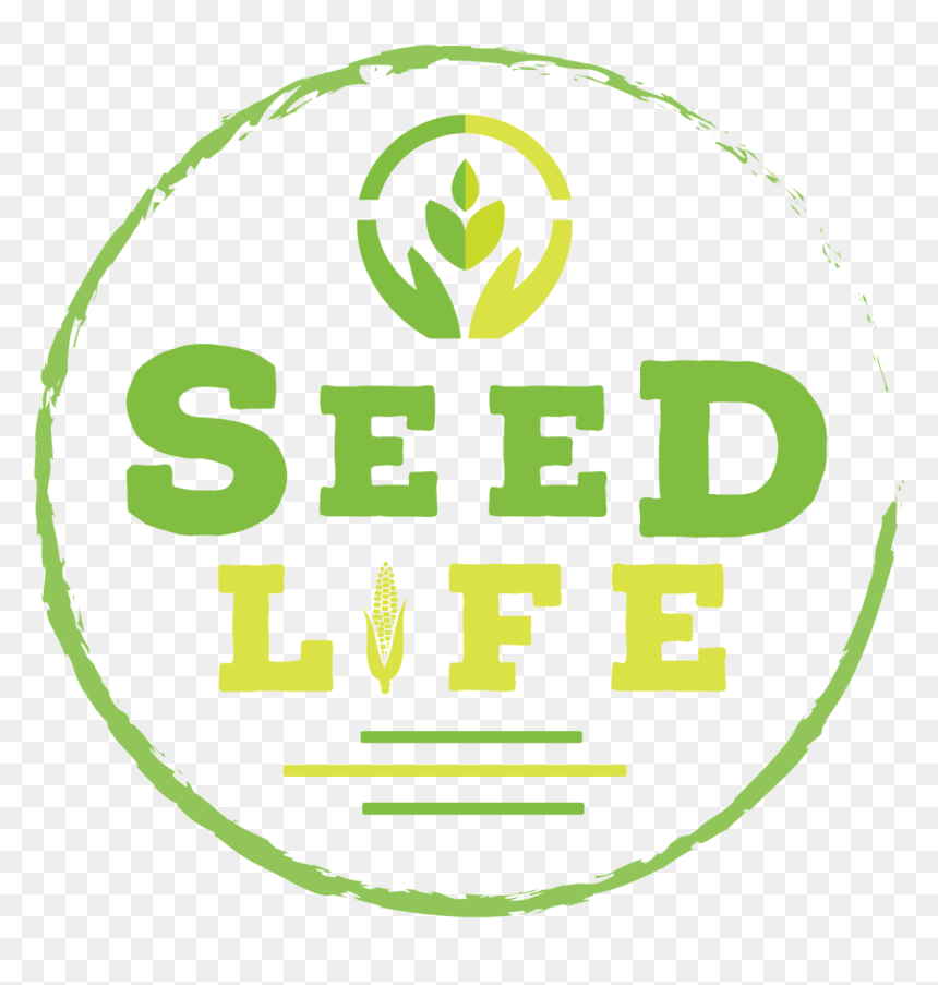 Seed Life, HD Png Download - seed of life png