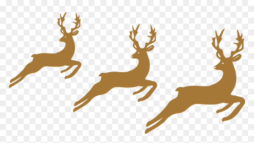 Christmas Decoration Drawing Png, Transparent Png - caribou png