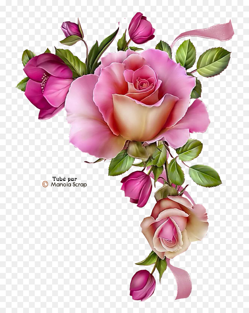 Rosas Png Tubes - Decoupage Printables, Transparent Png - tubes png