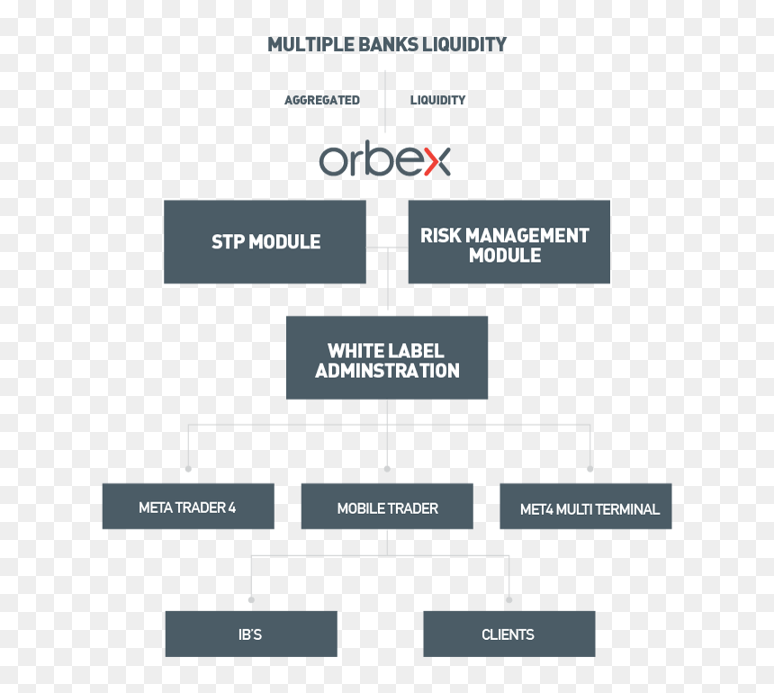 Orbex, HD Png Download - white label png