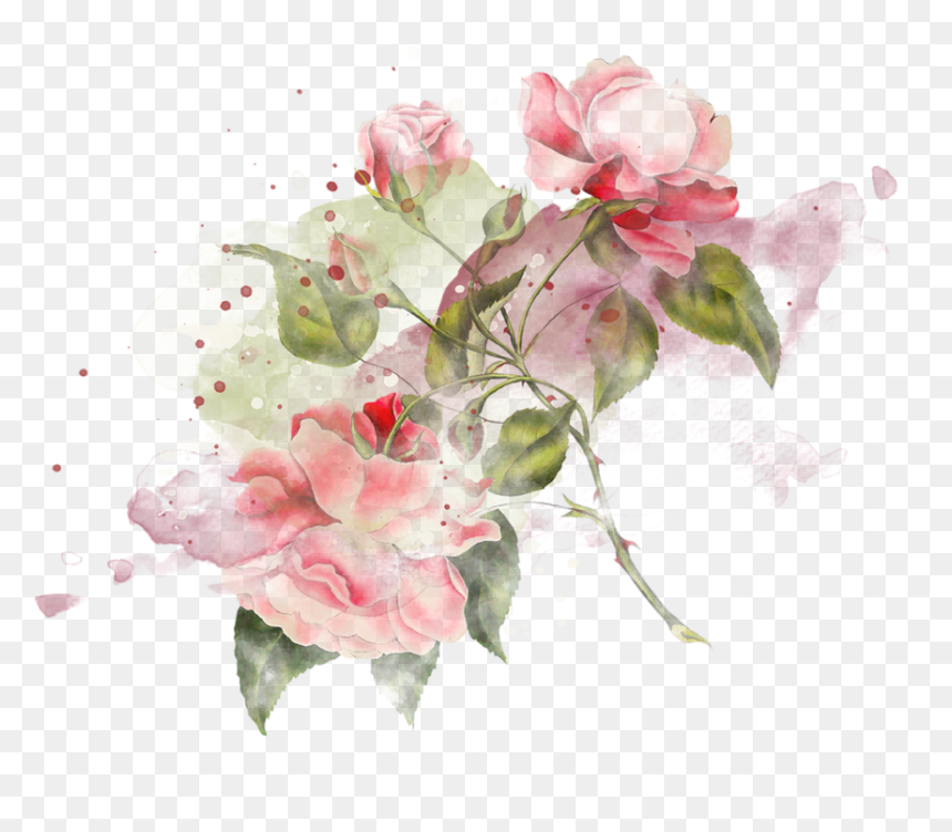 Still Life Photography, HD Png Download - tubes png