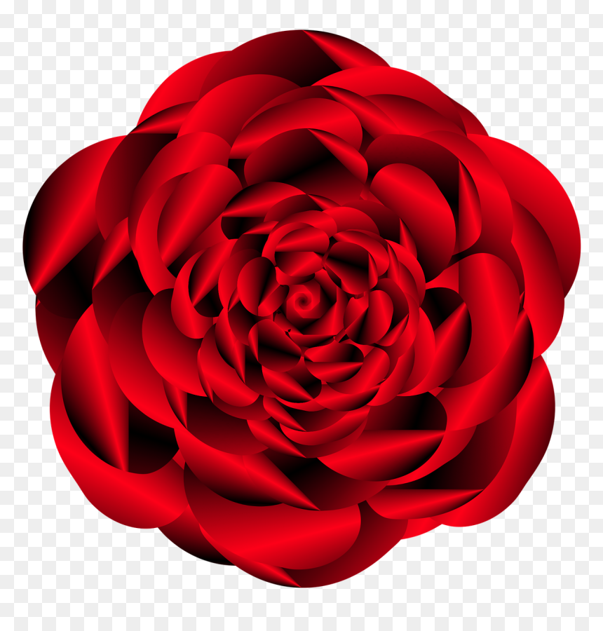 Japanese Camellia, HD Png Download - rose design png