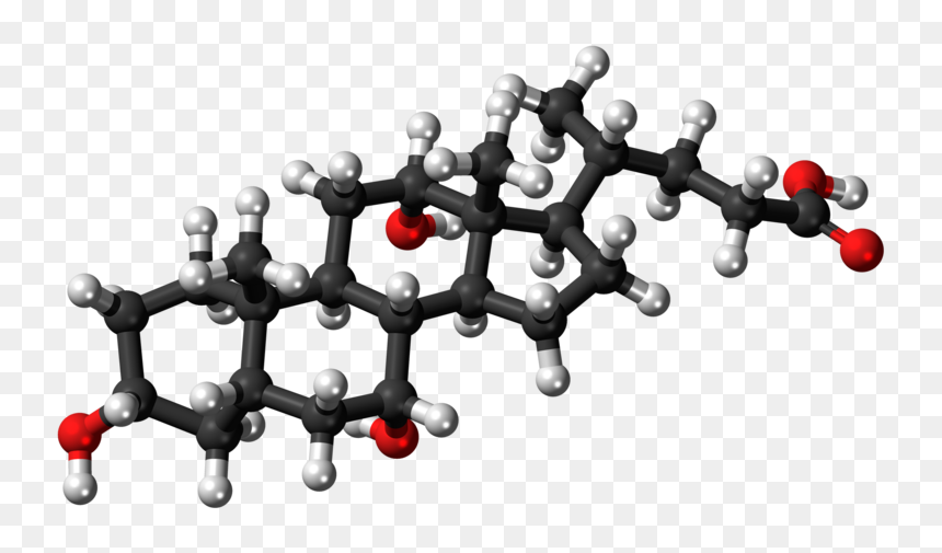 Molecular Structure Png Clipart - Cholic Acid 3d Structure, Transparent Png - structure png