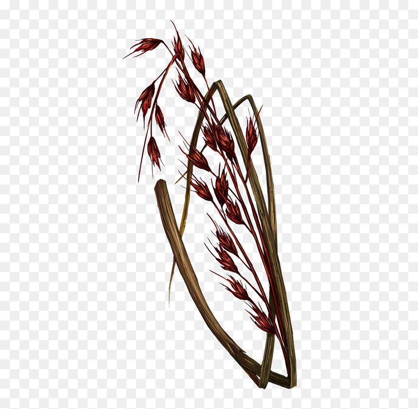 Bloodtwyre - Illustration, HD Png Download - bloody heart png
