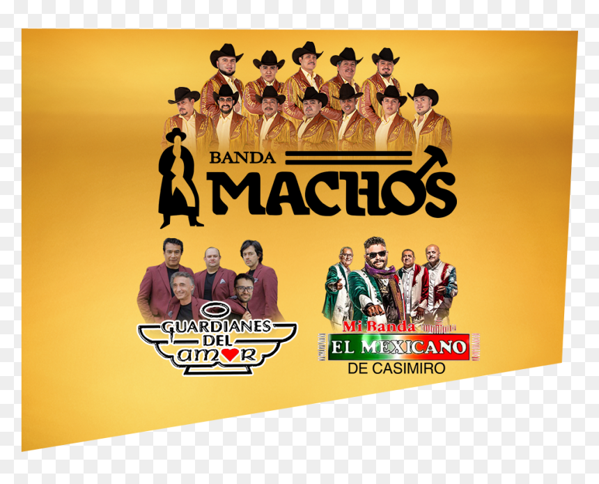 19spot2071 Webgraphics Bandamachos Guardianesdelamor - Spotlight 29 Casino, HD Png Download - banda png