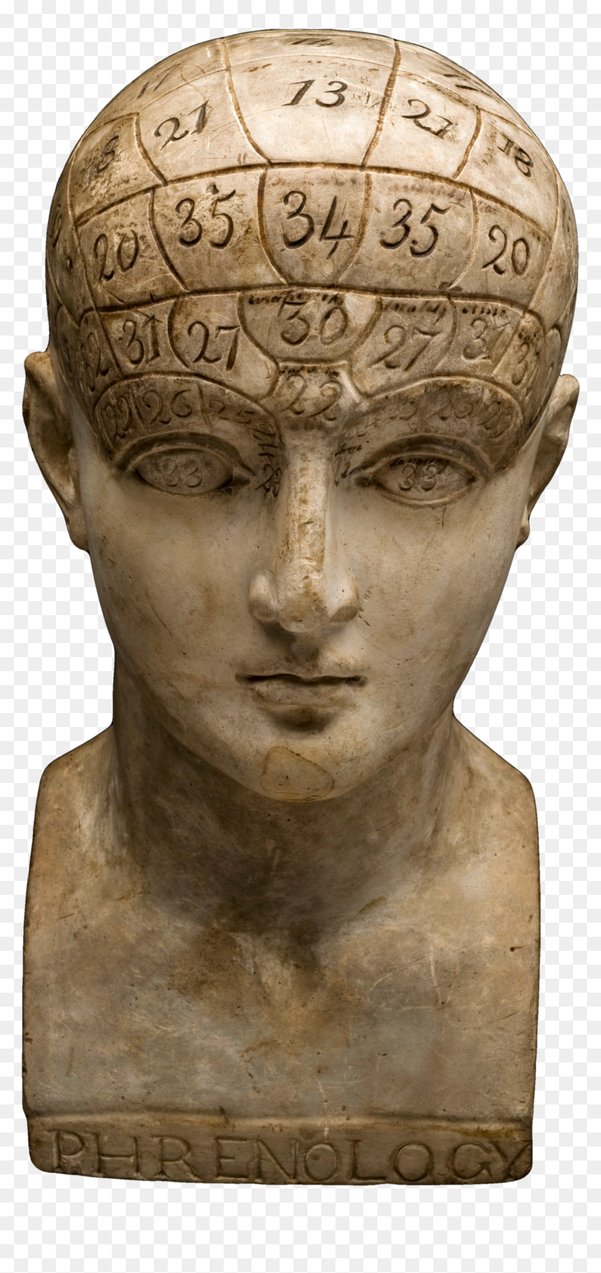 Bust, HD Png Download - bust png