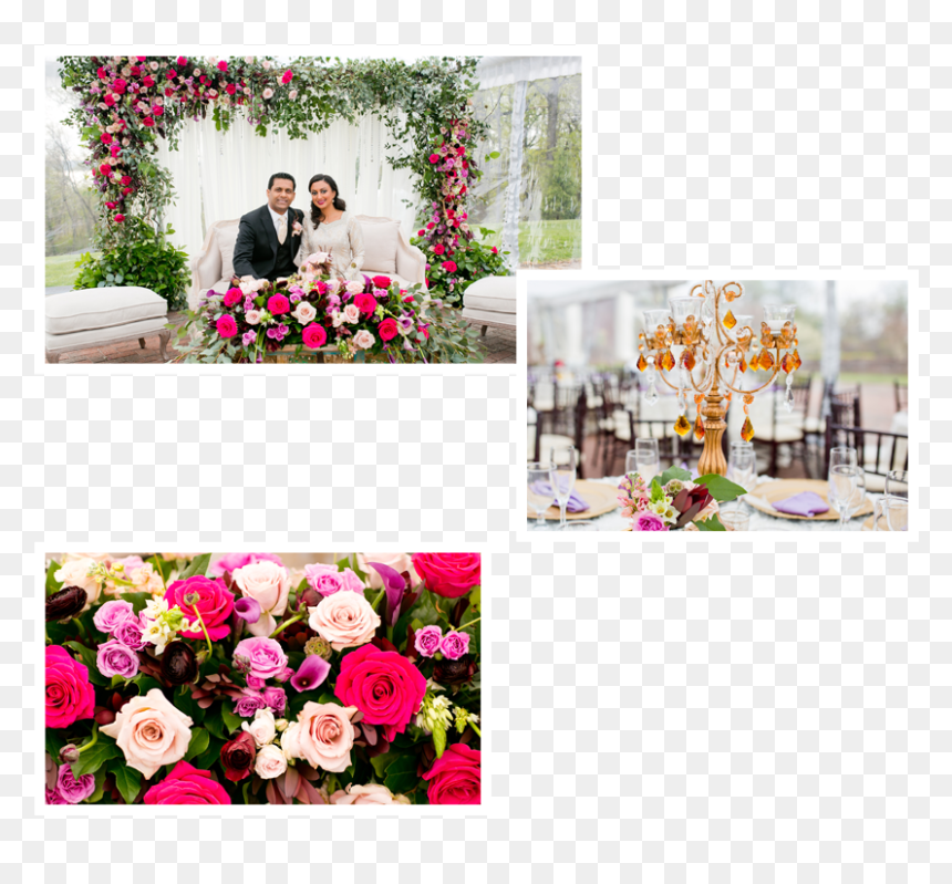 Garden Roses, HD Png Download - aaliyah png