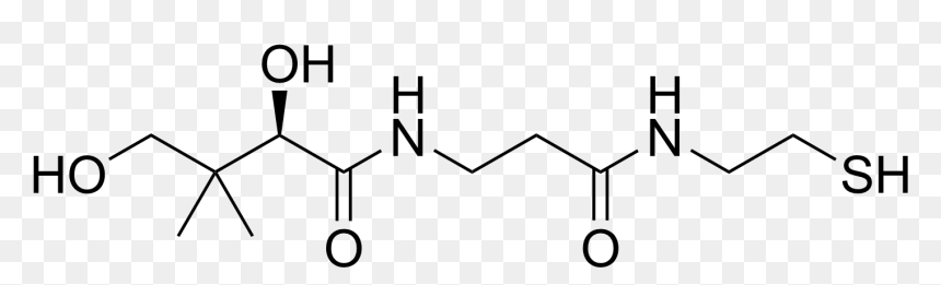 Pantetheine Structure - Structure, HD Png Download - structure png