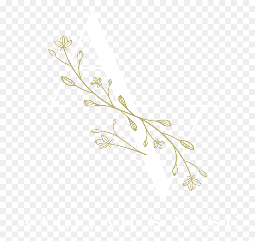 Pasadena, Ca Florist - Floral Design, HD Png Download - aaliyah png