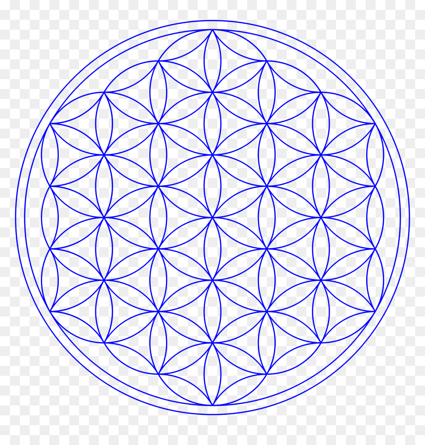 Flower Of Life Clipart Png Stock Clipart - Flower Of Life Transparent, Png Download - seed of life png