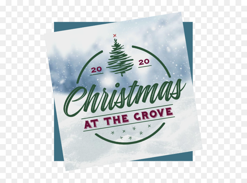 Christmas Promo 20 - Christmas Tree, HD Png Download - christmas eve png