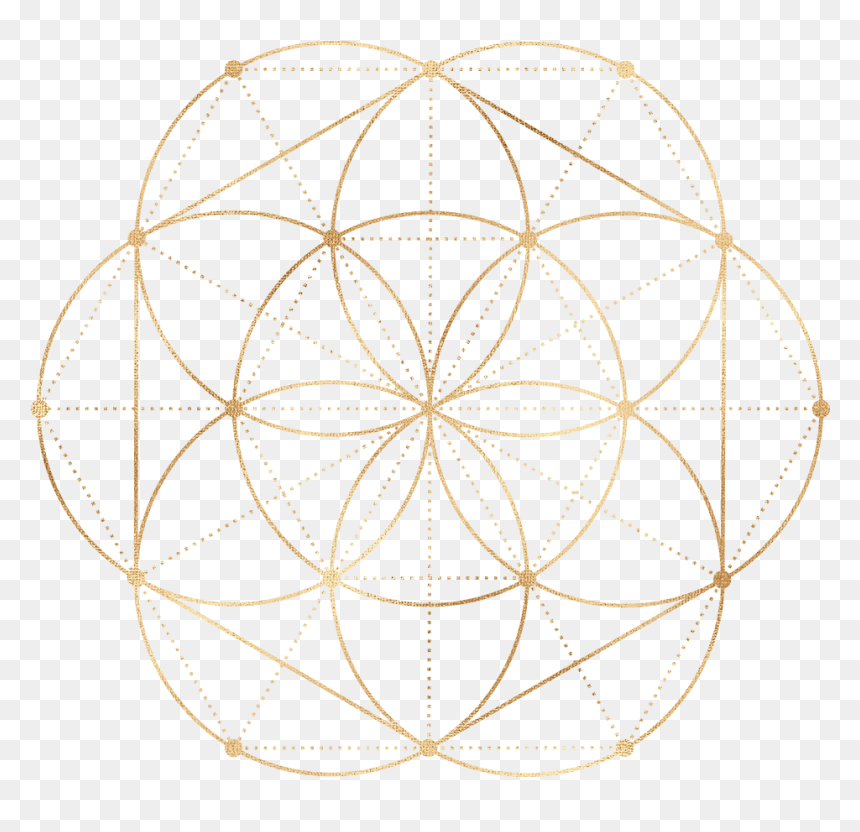 Circle, HD Png Download - seed of life png