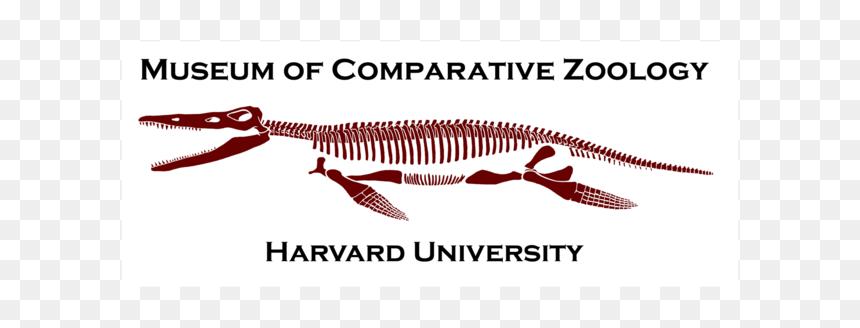 Mcz - Universidad Continental De Ciencias E Ingeniería, HD Png Download - harvard png