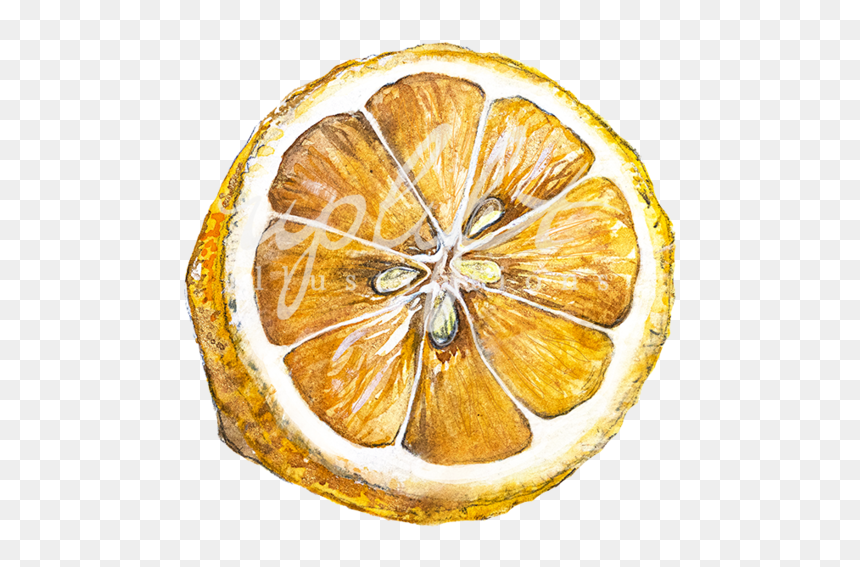 Lemon Web - Bitter Orange, HD Png Download - spirit bomb png