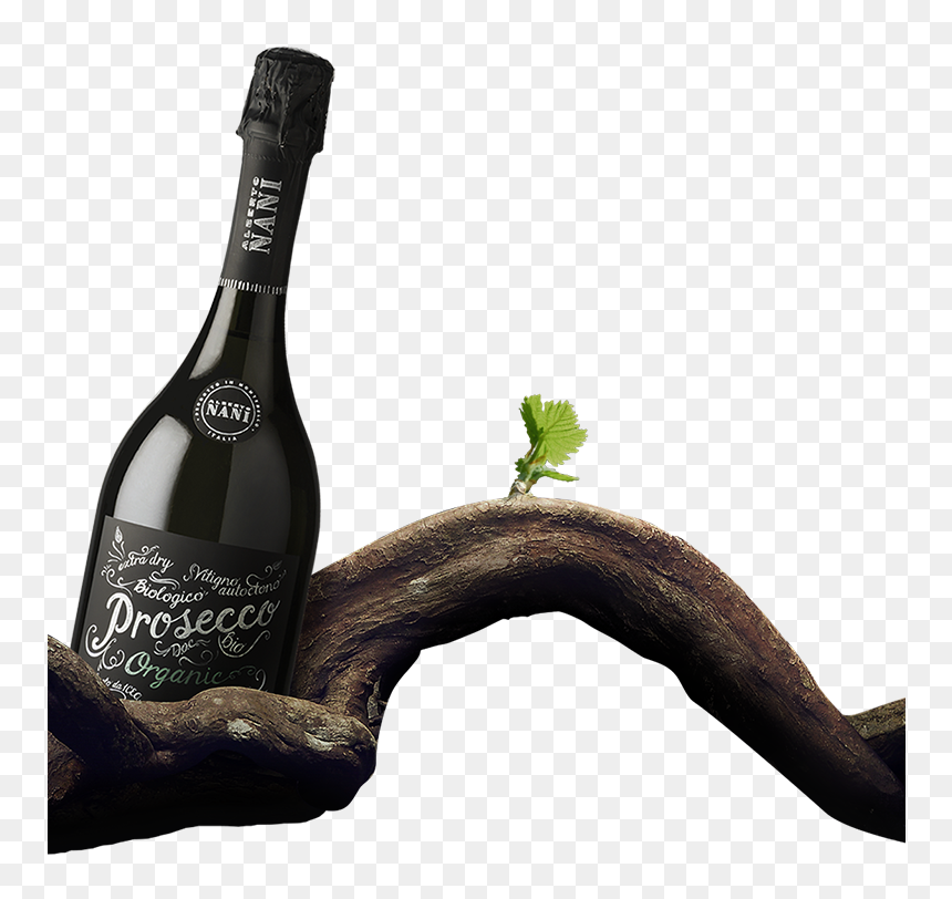Nani Png , Png Download - Champagne, Transparent Png - nani png