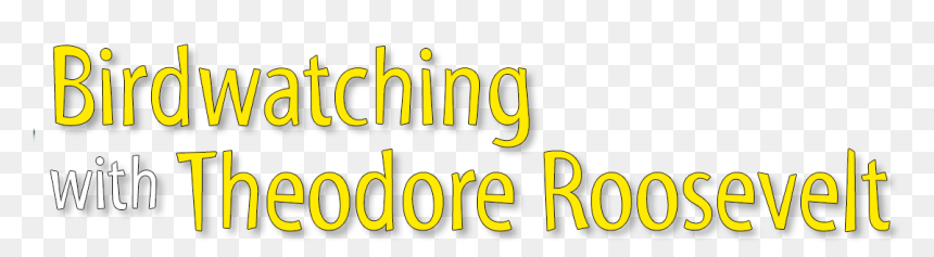 Birdwatching With Theodore Roosevelt - Graphics, HD Png Download - teddy roosevelt png