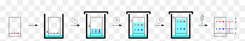 Thin Layer Chromatography Drugs, HD Png Download - tlc png