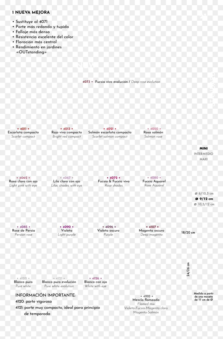 Document, HD Png Download - importante png