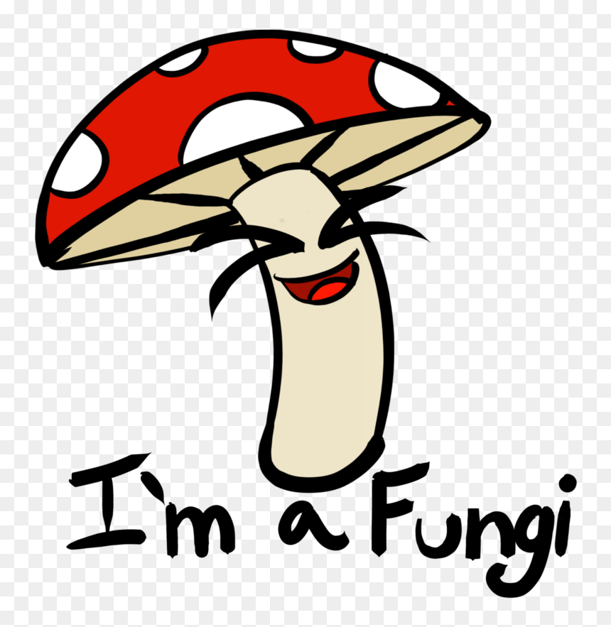 Picture Transparent Champagne Line Art Clip Transprent - Cartoon Images Of Fungi, HD Png Download - fungi png