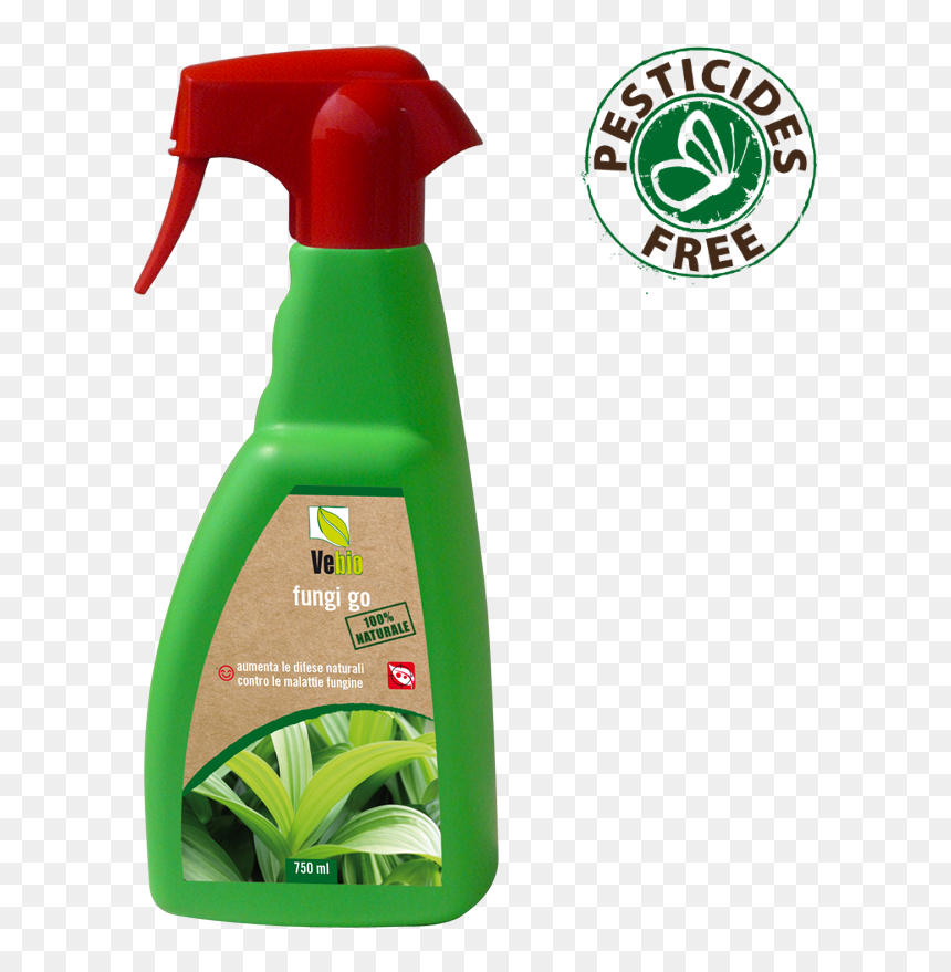 Fungi Go, HD Png Download - fungi png