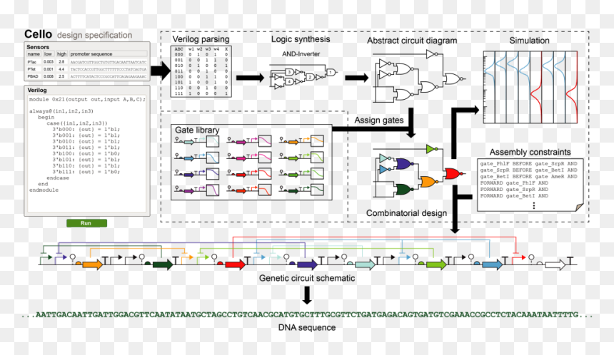 Asimov Genetic Circuit, HD Png Download - circuitry png