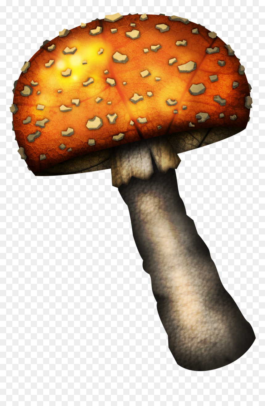 Hongos Psicodelicos Png, Transparent Png - fungi png