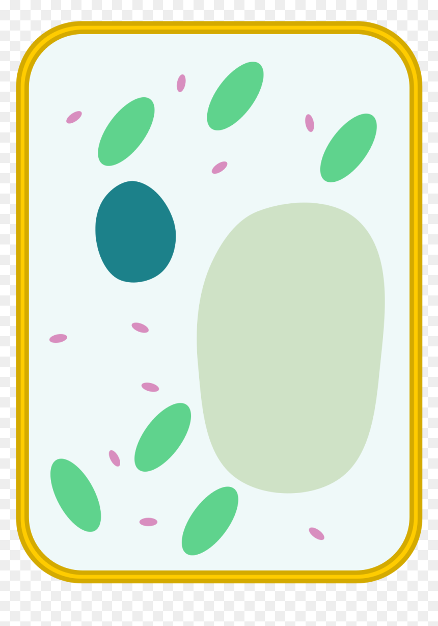 Animal Plant Bacteria Cells, HD Png Download - blank label png