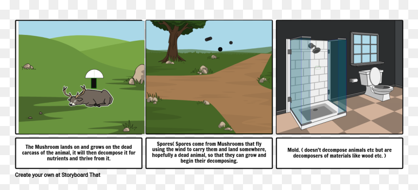 Comic Strip For Mushrooms, HD Png Download - fungi png