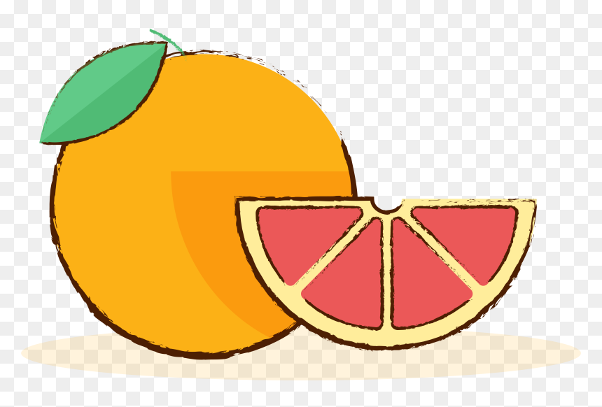 Grapefruit Gourmet Fruit Hand Drawn Png And Vector - Grapefruit Cartoon Png, Transparent Png - hand drawn png