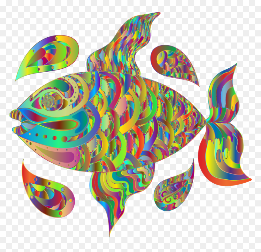 Graphic Design,fish,drawing - Drawing, HD Png Download - hand drawn png