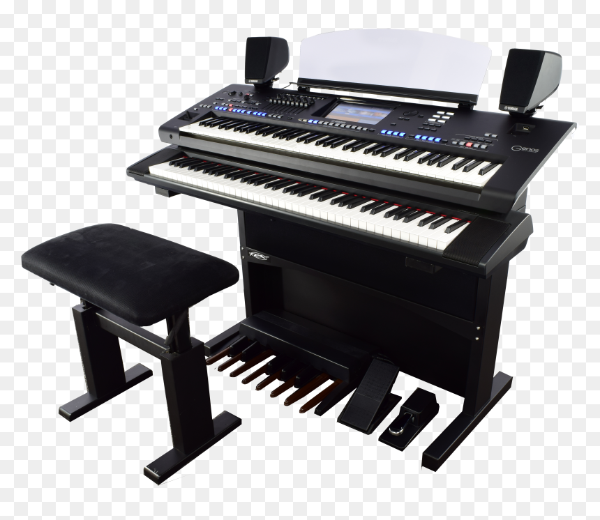 Genos Png , Png Download - Electric Piano, Transparent Png - genos png