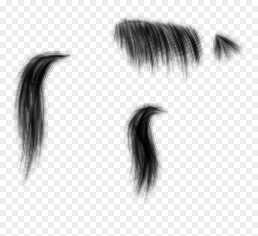 Hair Stock Png , Png Download - Hair Stock Png, Transparent Png - stock photo png