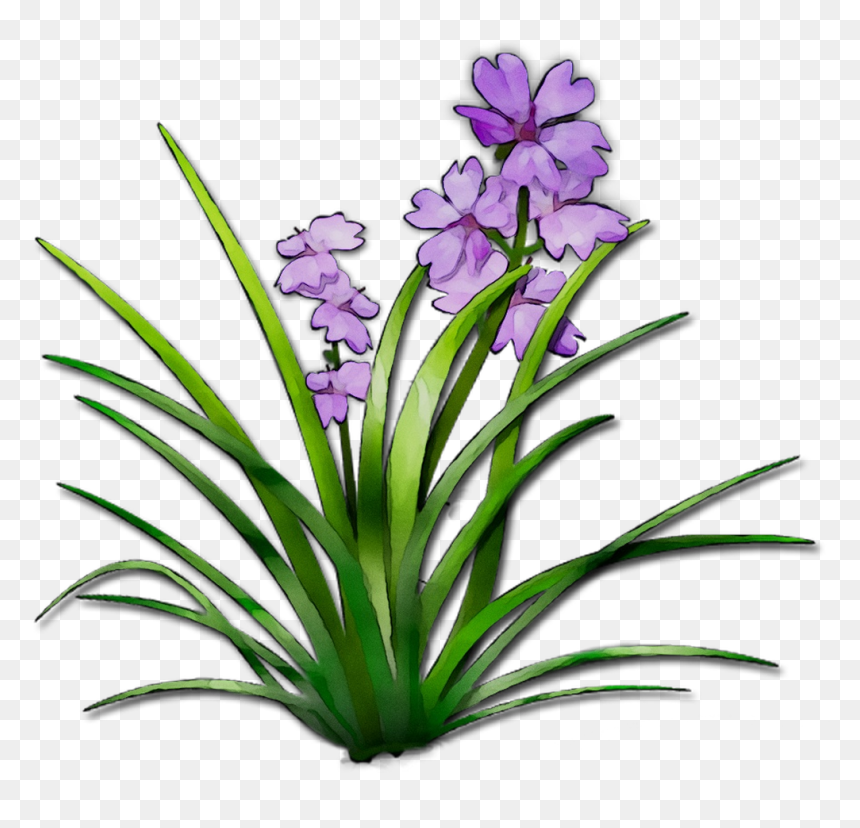 Herbaceous Plant Plant Stem Plants Terrestrial Plant - Plants, HD Png Download - cattails png