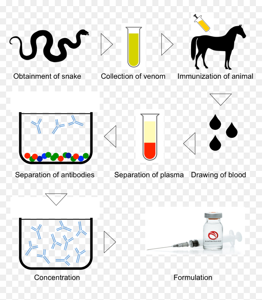 Antivenom Preparation, HD Png Download - venom snake png
